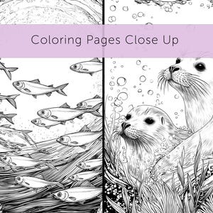 May include: Black and white coloring pages featuring marine life. One page shows a school of fish swimming in the ocean, while another depicts seals in the water. The text "Coloring Pages Close Up" is visible.