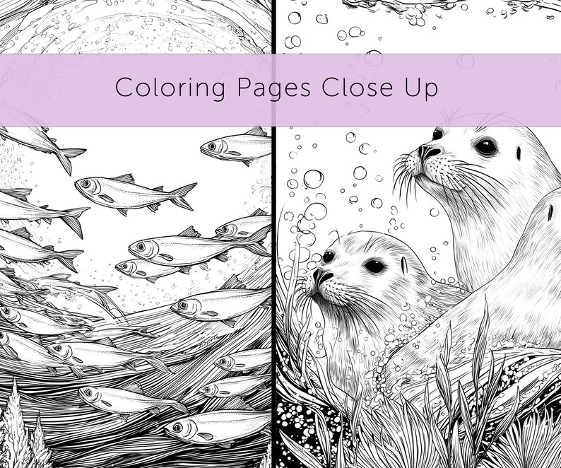 May include: Black and white coloring pages featuring marine life. One page shows a school of fish swimming in the ocean, while another depicts seals in the water. The text "Coloring Pages Close Up" is visible.