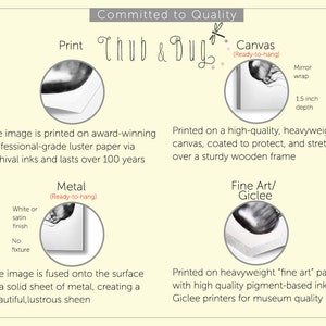 Pu&ograve; includere: Grafica informativa con il testo "Committed to Quality" e dettagli del prodotto. Mostra le opzioni di stampa su carta lucida, tela, metallo e carta fine art, evidenziando inchiostri d'archivio e stampe di qualit&agrave; museale.