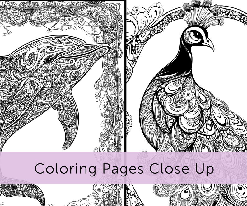 Op de afbeelding: Zwart-wit kleurplaten met een dolfijn en een pauw, elk met ingewikkelde patronen en ontwerpen. De tekst "Coloring Pages Close Up" staat op een lavendelkleurige banner.
