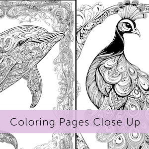 May include: Black and white coloring pages featuring a detailed dolphin and a peacock. The dolphin has intricate patterns, and the peacock displays elaborate feather designs. The text "Coloring Pages Close Up" is visible.