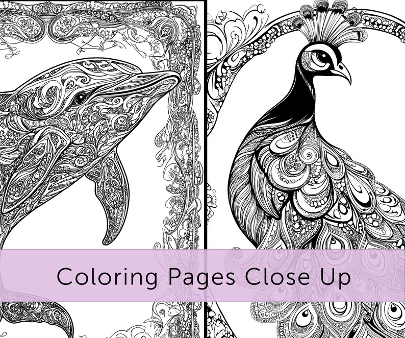 May include: Black and white coloring pages featuring a detailed dolphin and a peacock. The dolphin has intricate patterns, and the peacock displays elaborate feather designs. The text "Coloring Pages Close Up" is visible.