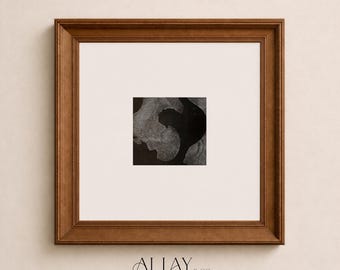 May include: A square wall art piece in a brown wooden frame featuring a central black and white abstract graphic with organic, flowing shapes. Below the frame, the text reads ALLAY & CO. FOR HOMES THAT FEEL COLLECTED, NOT DECORATED.