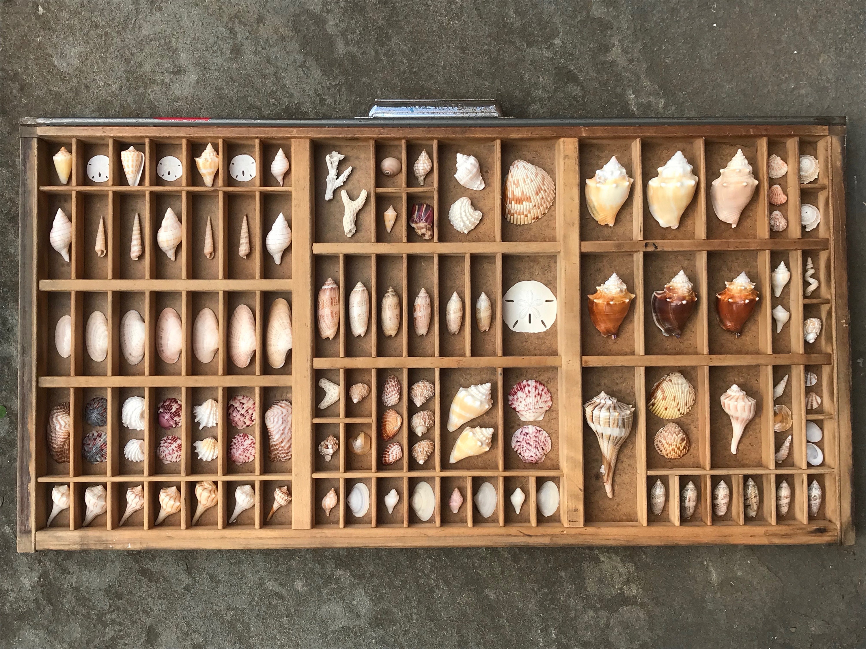 The largest collection. Необычные коллекции и коллекционеры. Самый большой музей сумок. Merchandise store. Коллекционирование салфеток.