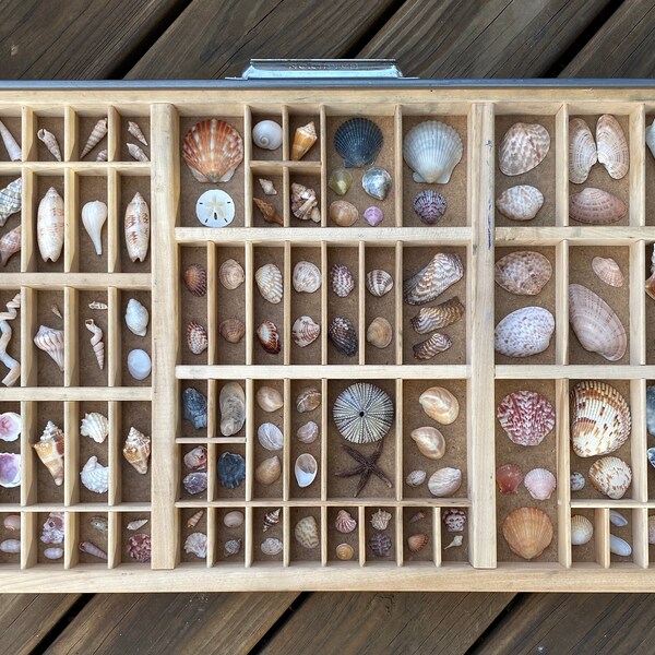 Shop Printers Tray Etsy