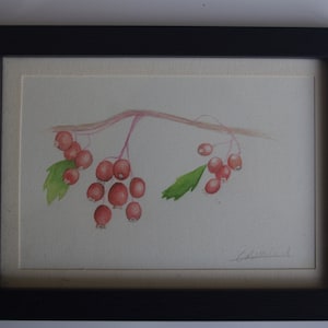 Watercolour Berry Painting