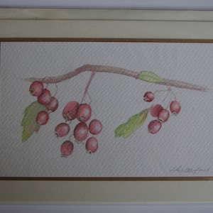 Carte de baie d’aquarelle