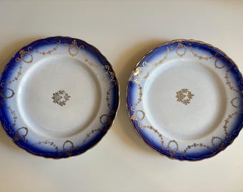 Set of 2 Vintage Flow Blue Plates