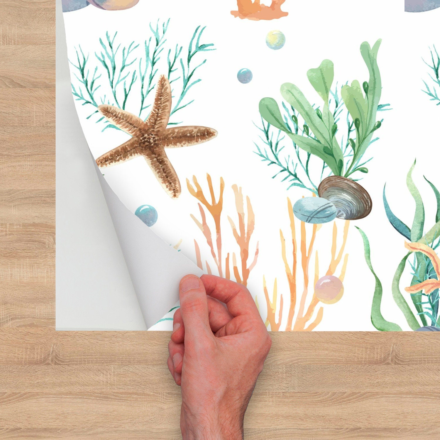 Ocean Wallpaper Roll Seashells Modern Wallpaper Peel and - Etsy