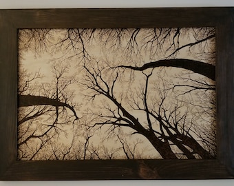 Framed 'Branches' Wood Burning