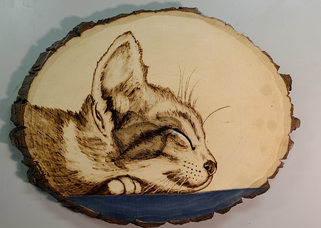 Sleeping Cat Wood Burning Etsy