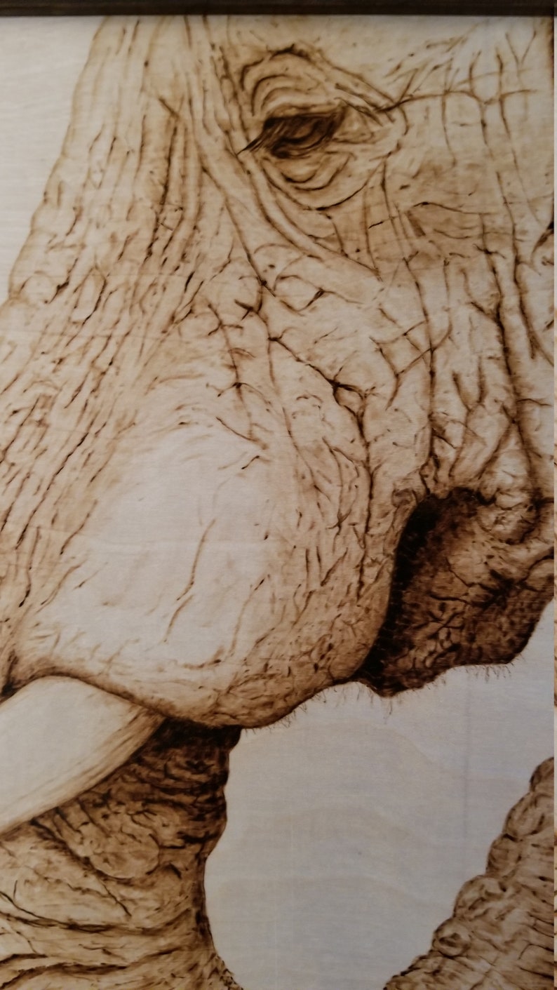 Framed Elephant Wood Burning Etsy