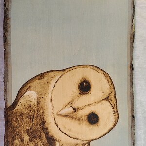 Owl Wood Burning