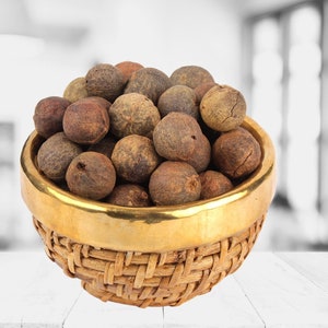Rohe Rudraksha Perlen Früchte aus Nepal - Holy Shiva Anbetung (6er Pack)