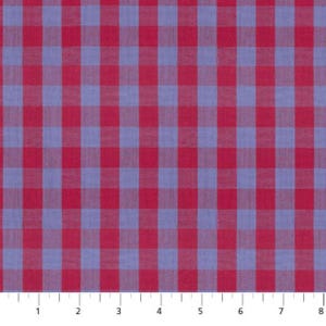 May include: A close-up of a fabric with a red and light blue gingham pattern. The fabric is divided into evenly spaced squares, creating a classic checkered design. The colors are vibrant and the pattern is symmetrical.