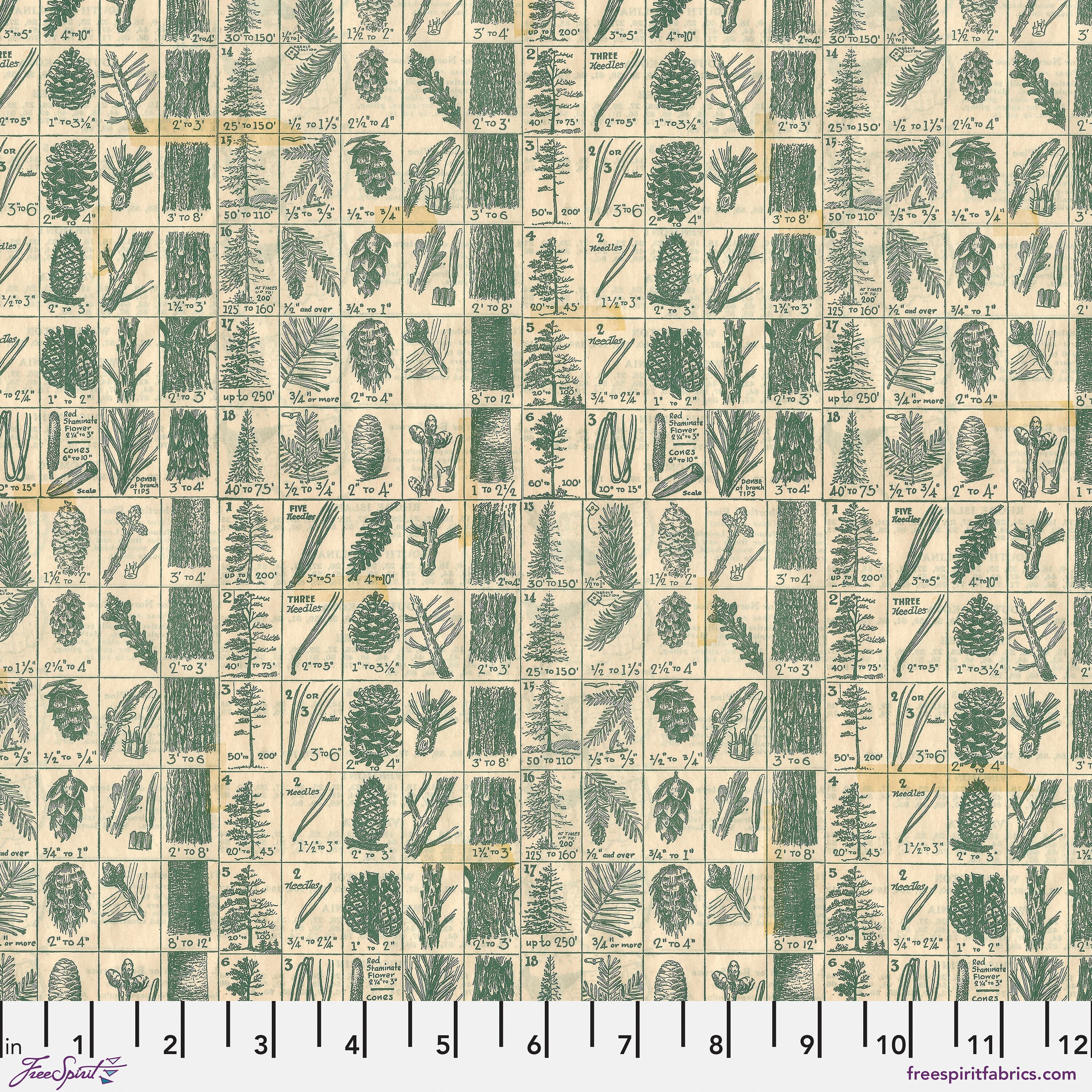 Pine Chart in Green (pwth204.green) | Holidays Past | Tim