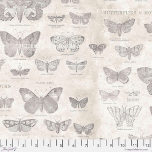 Butterflies in Parchment (pwth004.parchment) | Eclectic Elements Monochrome | Tim Holtz | Free Spirit | fclepn - fdu6lt - fsgyr