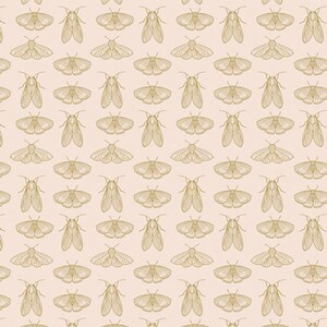 Emerging Wings in Frost (spe68303) | Spring Equinox | Katie O&#39;Shea | Art Gallery | fclz8y - fdg8ku - fs5m9