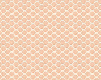 Shell in Coral (54993-8) | Ocean Life | Whistler Studios | Windham | fcf45g - fd3b1p - fs2n5