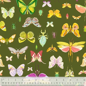 May include: A fabric pattern featuring a variety of colorful butterflies and insects on a dark green background. The illustrations include butterflies with yellow, red, and white wings, along with other insects. A ruler is at the bottom.