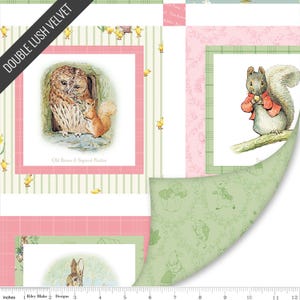 Peter Rabbit and Friends Double Lush Velvet (lv16808) | Double Lush Velvet | Riley Blake Designs | Riley Blake | fcnm1p - fdqkzd - fs7uw
