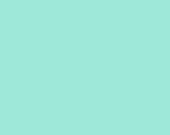 May include: Solid light turquoise background. The image is a single color, a soft, pale shade of turquoise, filling the entire frame. The color is uniform and without any variation.