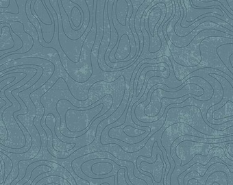 Topographic in Blue (c13293-blue) | National Parks | Anderson Design Group | Riley Blake | fcy709 - fd9gp6 - fs7uw