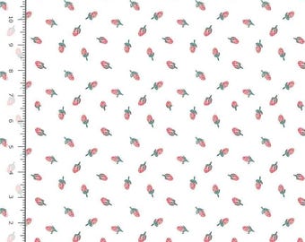strawberryページ Strawberry Toss in White (stella-dcj3070 White) | Strawberry