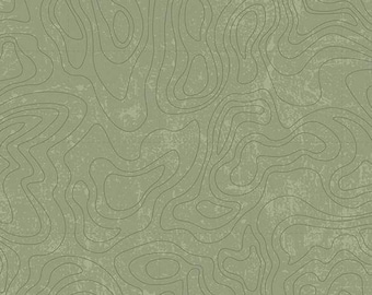 Topographic in Green (c13293-green) | National Parks | Anderson Design Group | Riley Blake | fcy709 - fd9gp6 - fs7uw