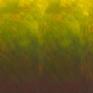 Sky in Pistachio (ajsd-21047-52 pistachio) | Sky | Jennifer Sampou | Robert Kaufman | fcsp0z - fdbx5l - fssd0