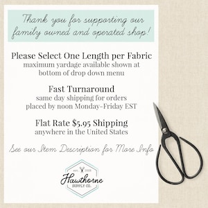 Bee Basic Busy Patchwork (c6392-multi) | Bee Basics | Lori Holt | Riley Blake | fce7tn - fdz3ey - fs7uw Bild 2