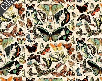 Teal Butterflies Canvas in Teal (ccth027.teal) | Palette Canvas Cloth | Tim Holtz | Free Spirit | fcinjg - fdu6lt - fsgyr