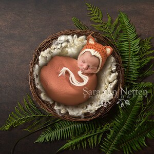 Digital Newborn Backdrop fern forest nest cream curls top view boy or girl brown composite