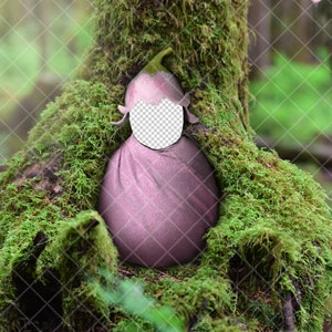 Newborn Digital Backdrop Insert forest flower pink baby PNG with trees and moss