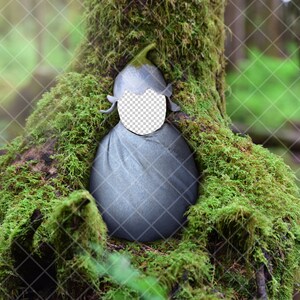 Newborn Digital Backdrop Insert forest flower blue baby PNG with tress and moss