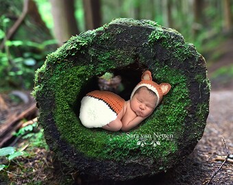 Newborn Digital Backdrop green moss log for fox or bear rain forest