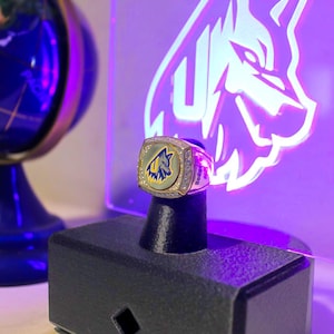 Custom Championship Ring Display - Custom LED Display