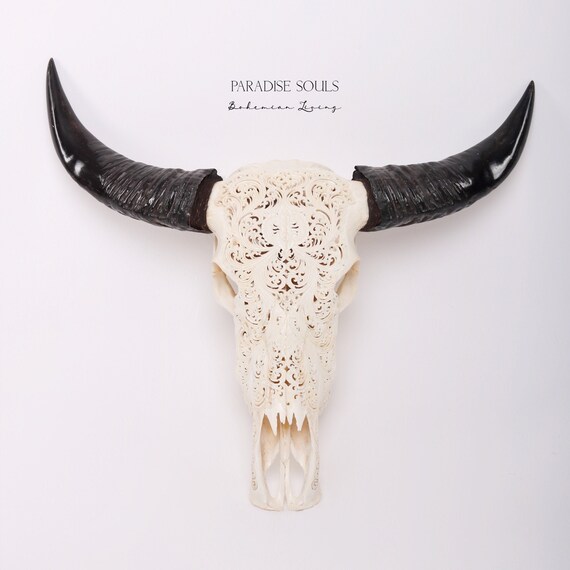 Real Carved Buffalo Skull Swirl Design Animal Skull Skull Decor Skull Mount Skull Bones Bone Art Skull Art Bone Carving
