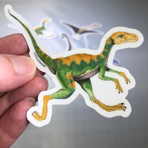 Pegatina de dinosaurio Compsognathus
