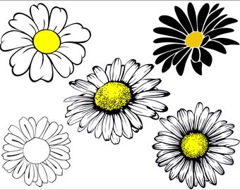 Daisies Etsy