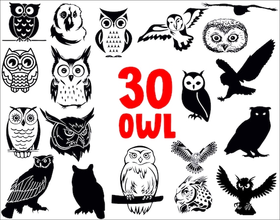 Download Owl Svgowl Clipartowlowl Vectorowl Silhouetteowls Svgowl Etsy