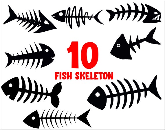 Download Fish Skeleton Svg Fish Bone Svg Fish Skeleton Fish Svg Skeleton Svg Fish Clipart Fish Bones Svg Fishing Svg Fishbone Svg Fish Bone Clipart