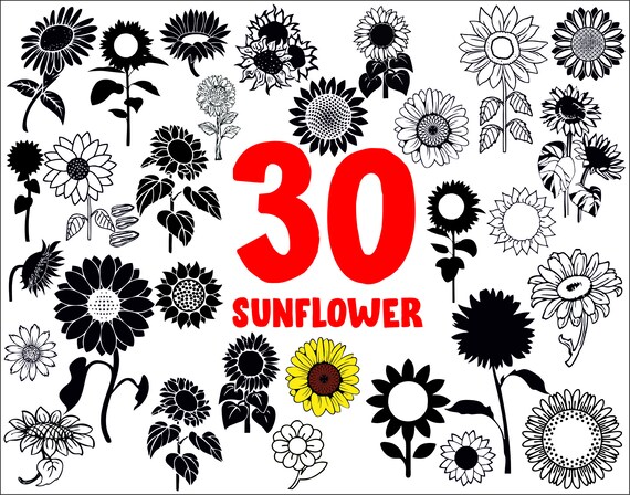 Download Sunflower Svgsunflower Clipartsunflower Cut Filesunflower Etsy