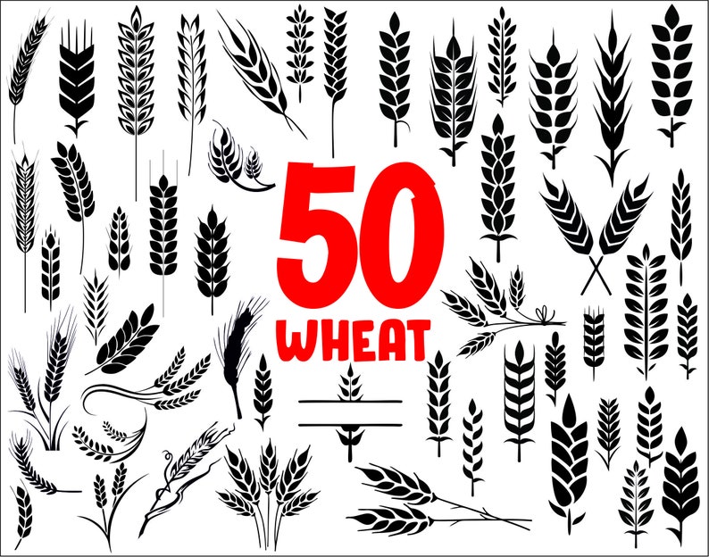 Download Wheat svgwheat clipartwheat vectorwheat wreathharvest | Etsy