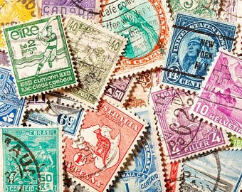 Etichetta di spedizione