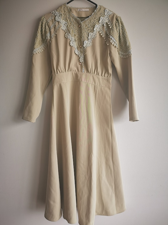 Beautiful Lace Embroidered Dress, Vintage Dress, V