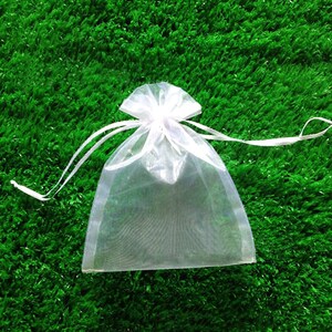 May include: A white sheer organza gift bag with a drawstring closure. The bag is lying on a green artificial grass surface.