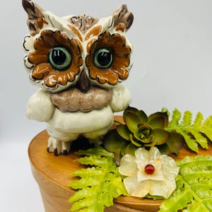 May include: A ceramic owl figurine with brown and white details, large green eyes, and a light brown chest. The owl is standing on a wooden surface, with a green succulent, a white flower, and green fern leaves.