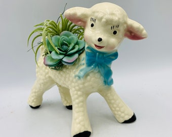 May include: A white ceramic lamb planter with a blue bow, decorated with a textured surface, holding a green succulent plant.