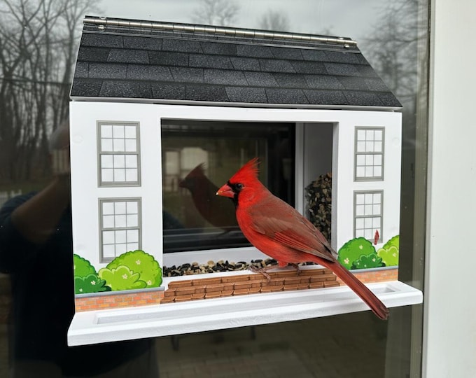 Bird Feeders